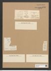 Fragilaria construens f. exigua (de-Toni-Nr.: Genus 73) Zeichnungen Sammlung Grunow Nr. 5732 (NHMW-BOT-W0374120)